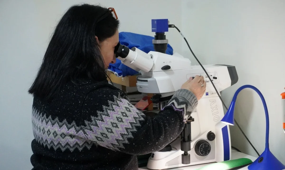 Premio InspiraTEC 2026 reconoce talento femenino en STEM y emprendimiento tecnológico en Chile